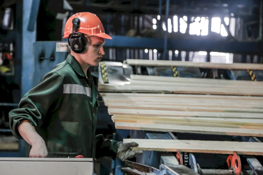 Михаил Шамолин рассказал о предстоящей модернизации Онежского ЛДК