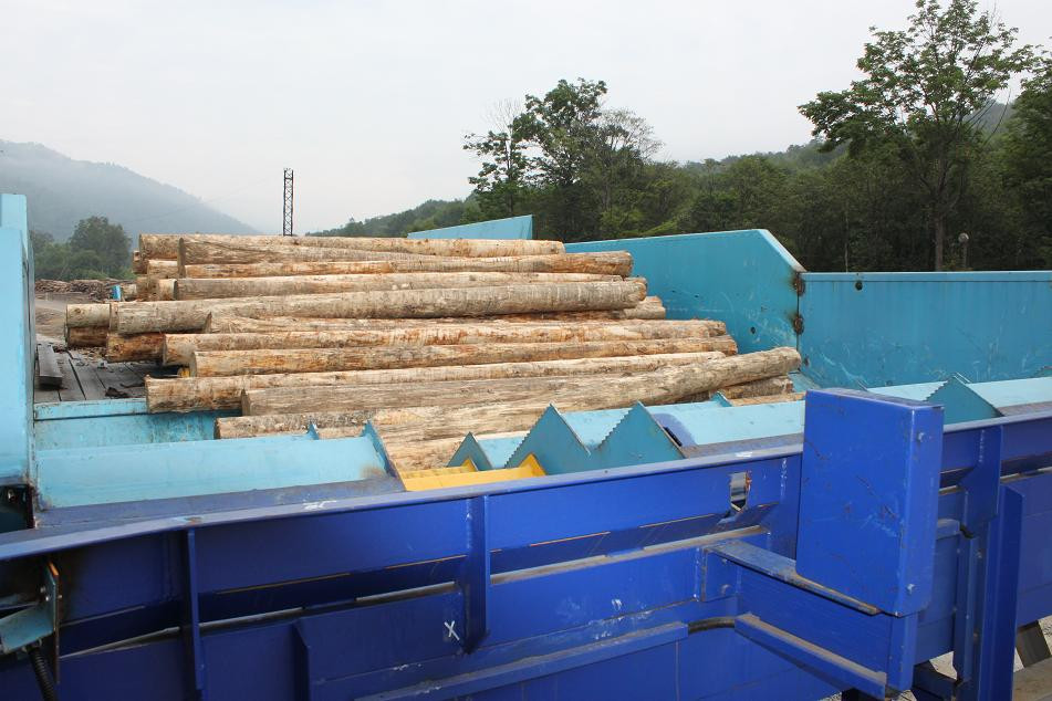 Компания &laquo;Лесмаш&raquo; выпустила юбилейное устройство поштучной выдачи бревен