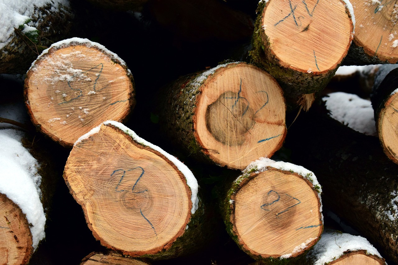 Объем лесозаготовки в Финляндии сократился за год на одиннадцать процентов