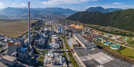 В Mondi Group объявили о назначении новых неисполнительных директоров