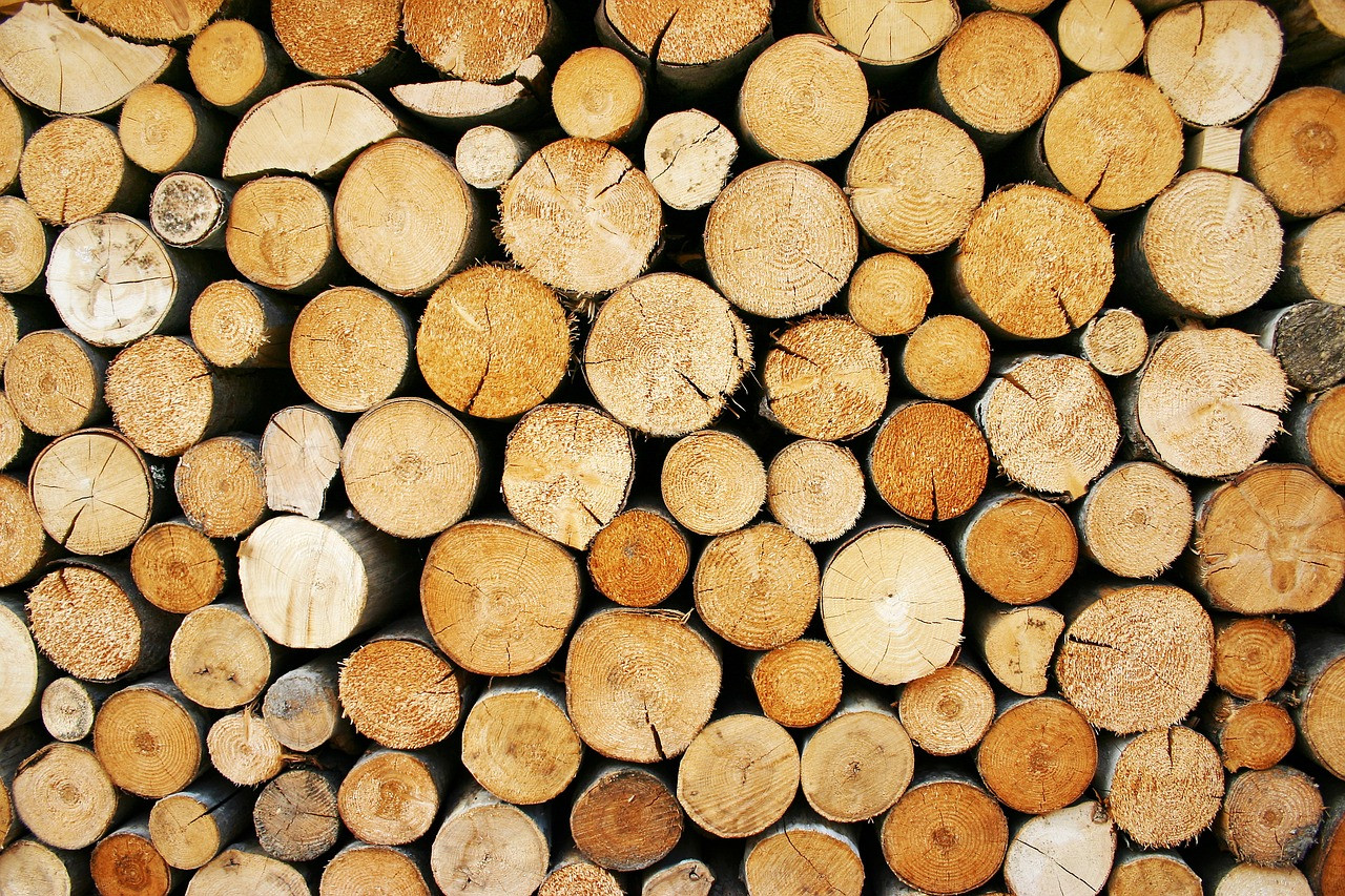 Иркутская область стала лидером в экспорте леса среди сибирских регионов