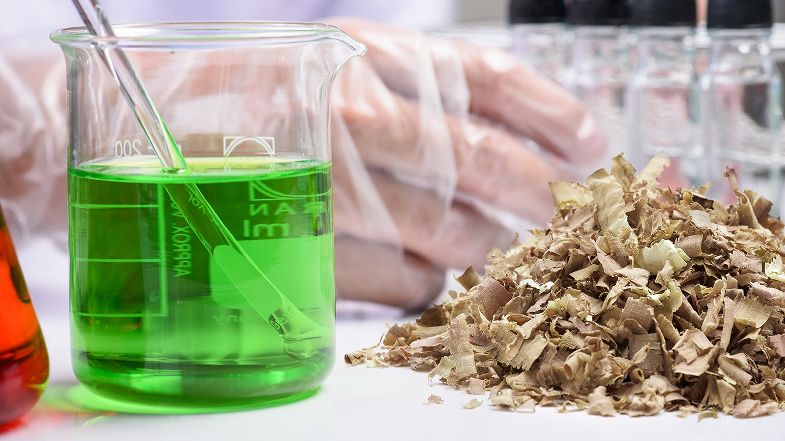 Изменились даты проведения конгресса и выставки &laquo;Биомасса: топливо и энергия &ndash; 2021&raquo;