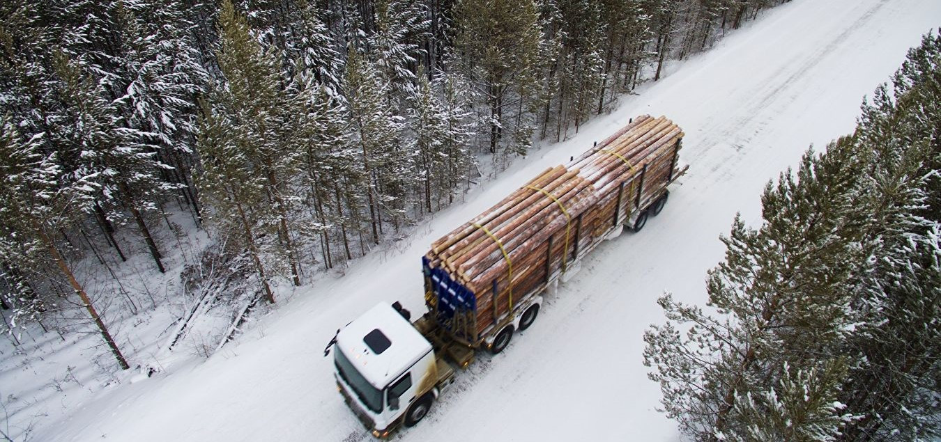 Инспекторы Россельхознадзора пресекли незаконный экспорт лесоматериалов в Казахстан