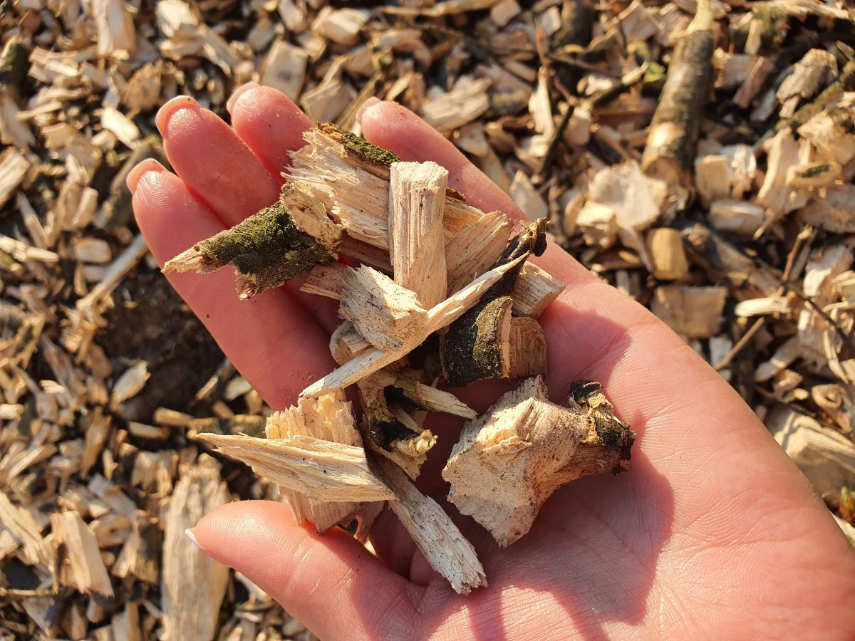 Использование древесной щепы для производства энергии в Финляндии превысило 8 миллионов кубометров