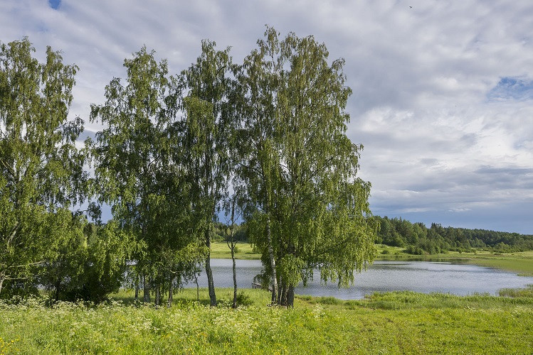 К 2025 году политика энергосбережения должна принести компании &laquo;Свеза&raquo; экономию в объеме 230 миллион