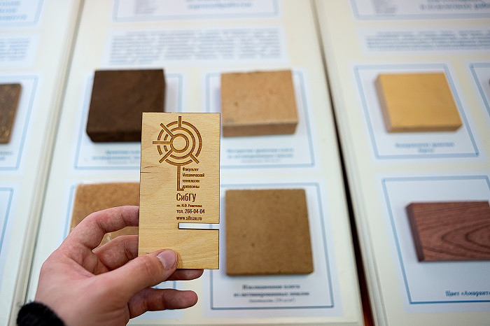 Ученые из Красноярска представили новые технологии для деревопереработки