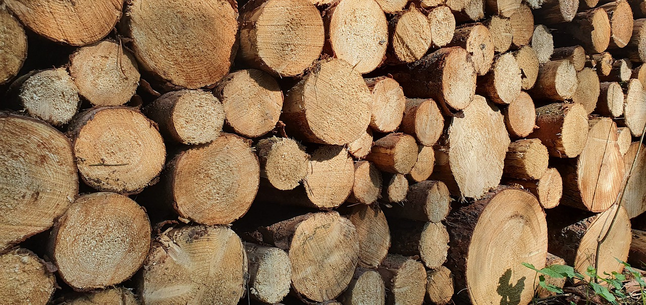 Депутаты приняли в первом чтении законопроект о биржевой торговле лесом