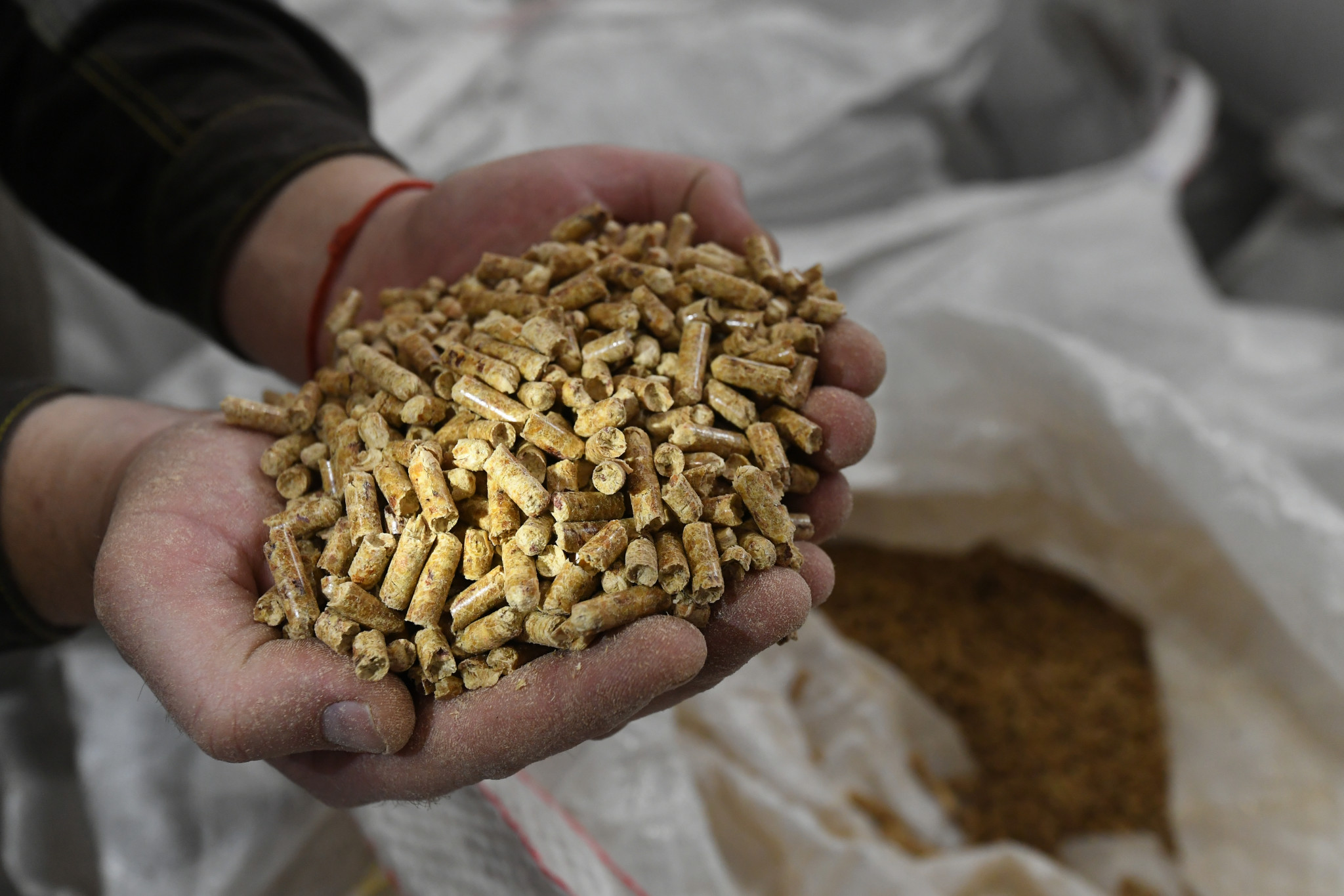 Производство биотоплива компании &laquo;Краслесинвест&raquo; получило сертификат SBP