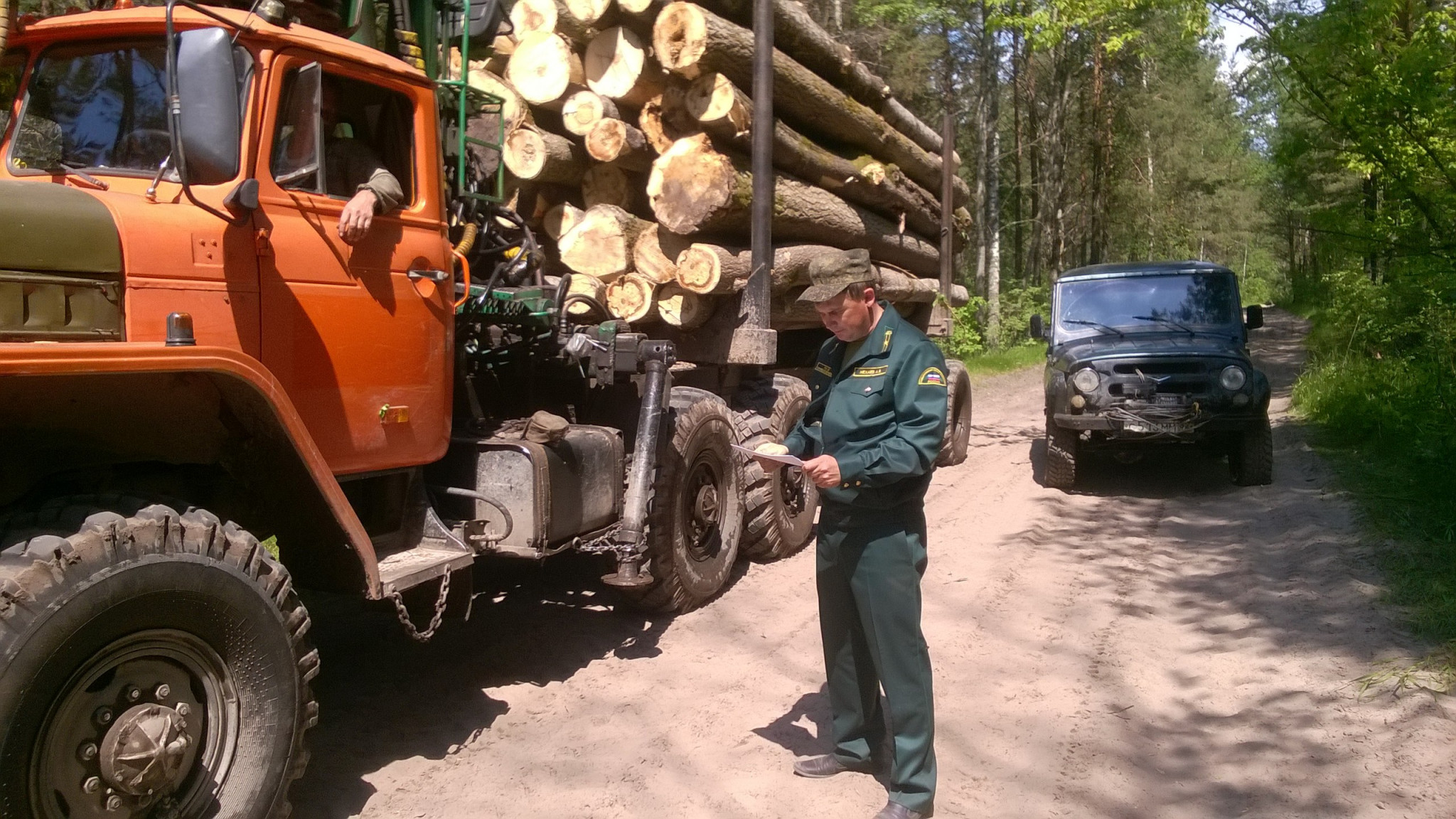 На 22% сократился в России объем незаконной лесозаготовки