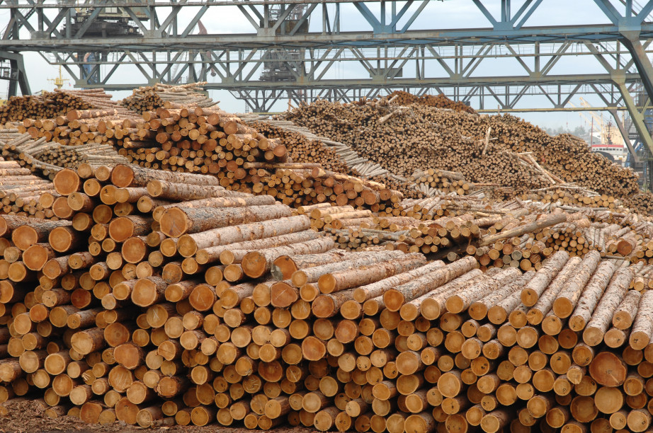 &laquo;Форпостлес&raquo; модернизирует производство в Хабаровском крае за 40 миллионов рублей