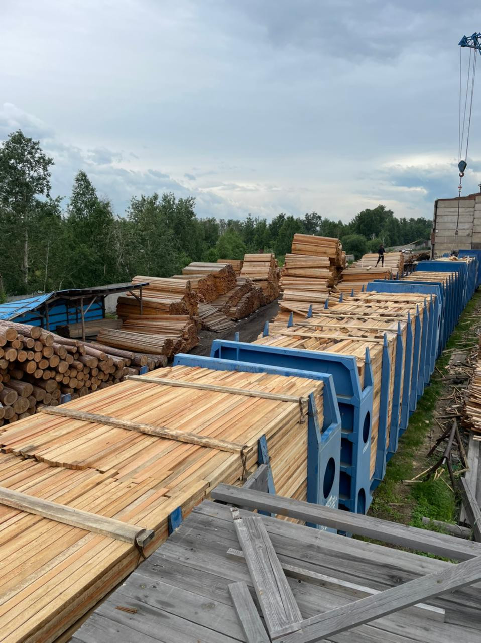 В Иркутской области задержали крупную партию контрабандной древесины