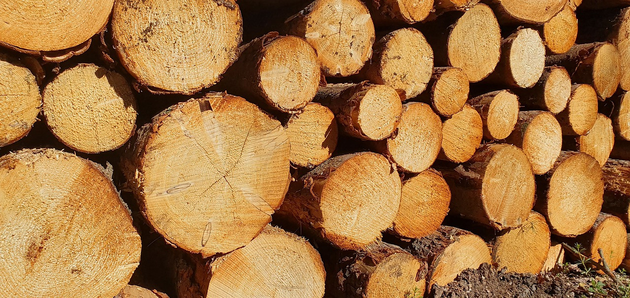 Приморский край экспортировал 185 тысяч кубометров лесопродукции