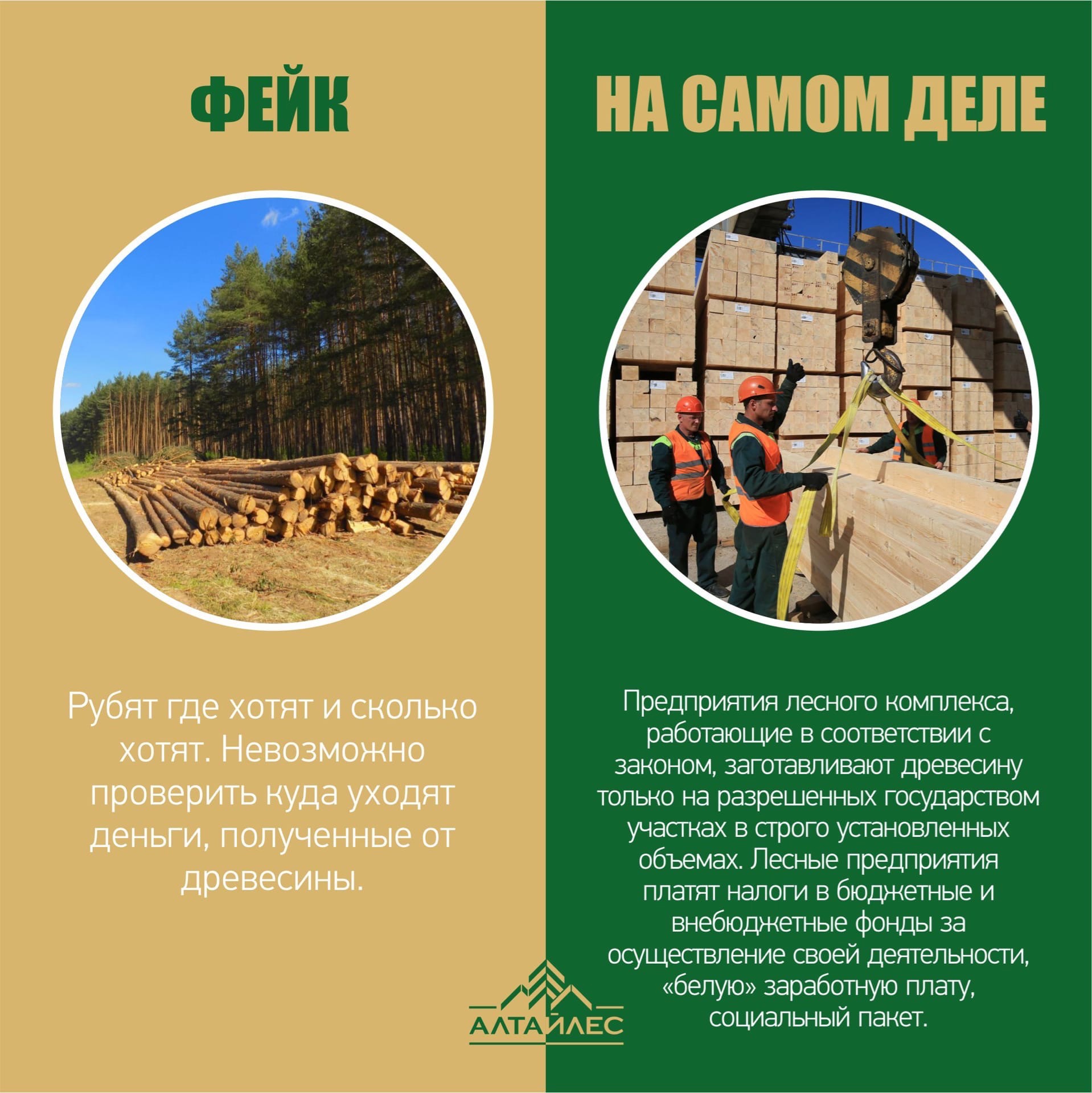 Развеваем мифы!